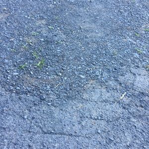 Meet your Posher, Shawna